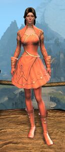 Appearance on light armor.