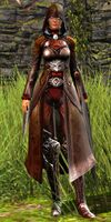 Bandit Assassin female 4.jpg