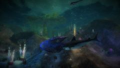 Benthic Kelp Beds.jpg