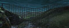 Broken Fishnet.jpg