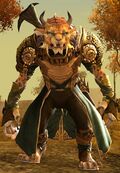 Custos.jpg