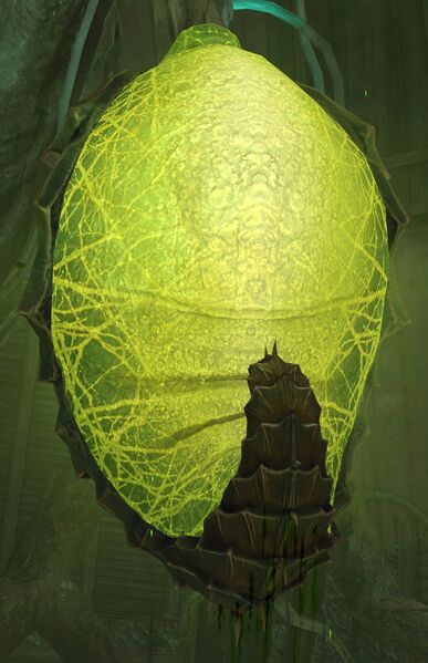 File:Ensolyss Cocoon.jpg