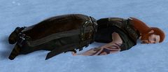 Fallen Refugee.jpg
