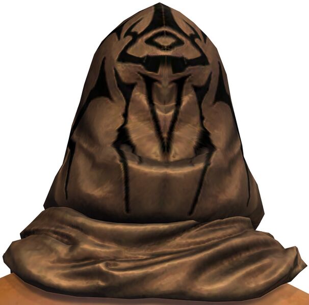 File:Heretical Scholar's Hood back.jpg