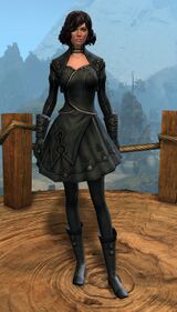 Appearance on light armor.