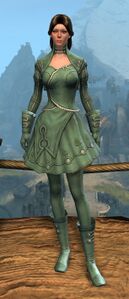 Appearance on light armor.