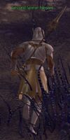 Second Spear Nimani (helmet).jpg