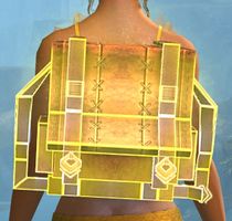 Storm Wizard Backpack Cover.jpg