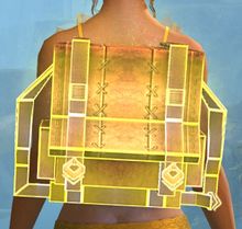 Storm Wizard Backpack Cover.jpg