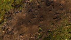 Tracks.jpg