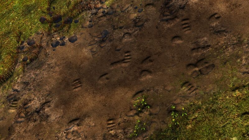 File:Tracks.jpg