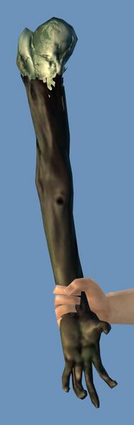 File:Undead Arm (bundle).jpg
