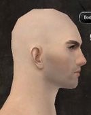 Unique human male face side 2.jpg