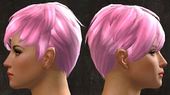 Unique norn female hair side 9.jpg