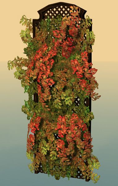 File:Vined Lattice.jpg