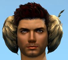 Wintersday Earmuffs.jpg
