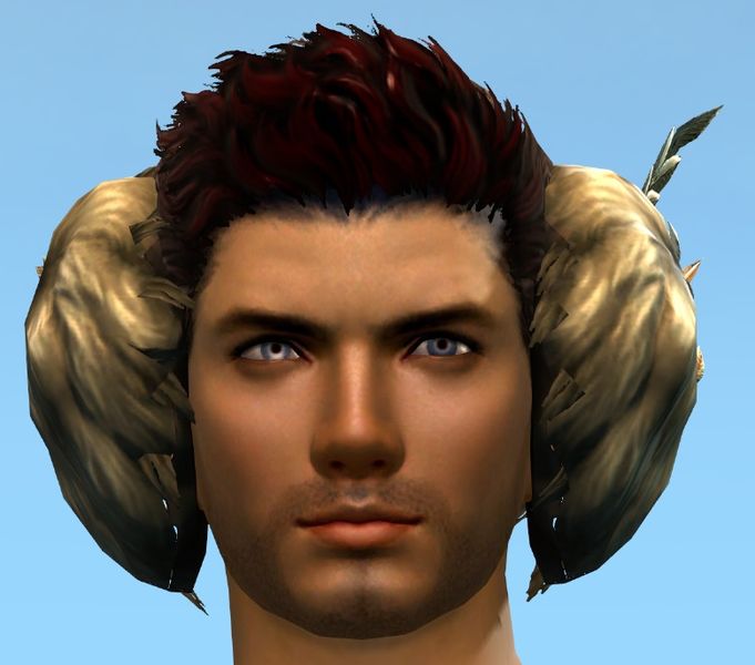 File:Wintersday Earmuffs.jpg