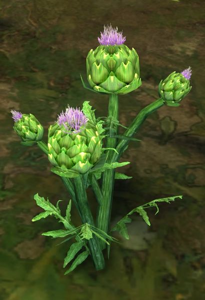 File:Artichoke (node).jpg