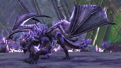 Branded Aurene.jpg