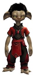 Common Clothing Outfit