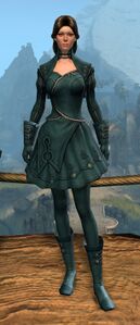 Appearance on light armor.