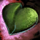 Cymbel's Trust.png
