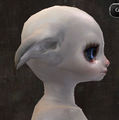 Gw2-new-faces-festival-of-four-winds-asura-female-3-side.jpg