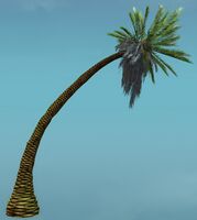 Island Tree (Curved).jpg