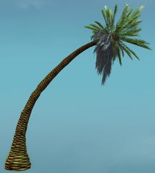 Island Tree (Curved).jpg