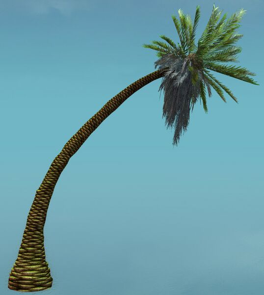 File:Island Tree (Curved).jpg