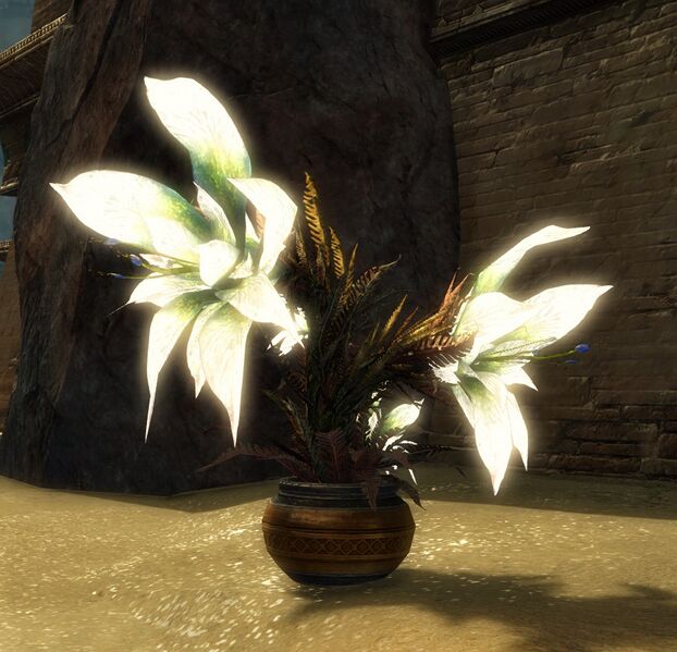 File:Potted Maguuma Lily (Triple Bloom).jpg