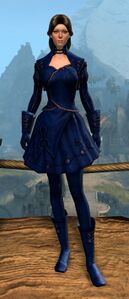 Appearance on light armor.