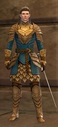 Shining Blade Guard.jpg
