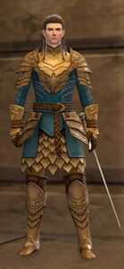 Shining Blade Guard.jpg