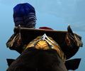 Appearance on a female charr.