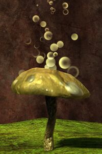 Bubbly Mushroom.jpg