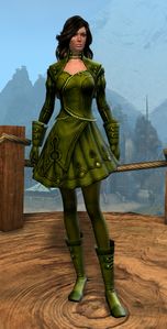 Appearance on light armor.