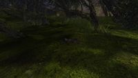 Soldier 1 (Under the windswept trees)