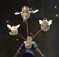 Cuddly Cat Glider top.jpg