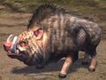 Elonian Warthog.jpg