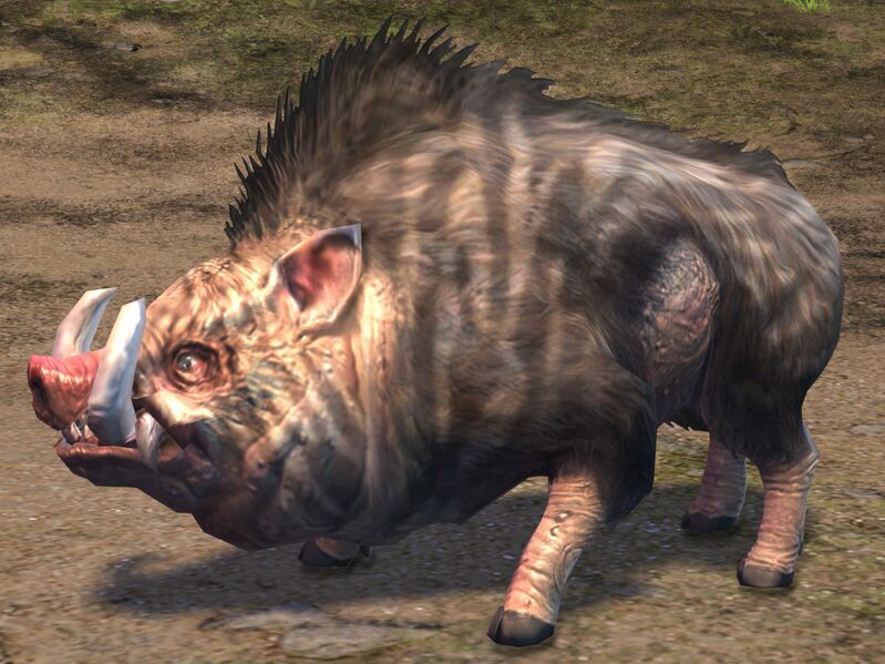 File:Elonian Warthog.jpg