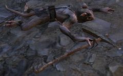 Injured Skritt Explorer.jpg