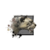Juvenile Snow Leopard.png
