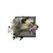 Juvenile Snow Leopard.png