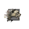 Juvenile Snow Leopard.png