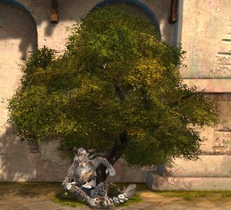 Quiet Woods Chair charr female.jpg
