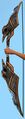 Sacred Raven's Longbow.jpg