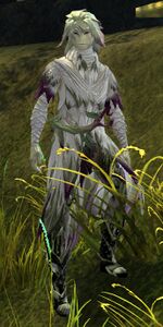 Scholar Vale.jpg