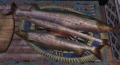 Shiverpeak Salmon.jpg