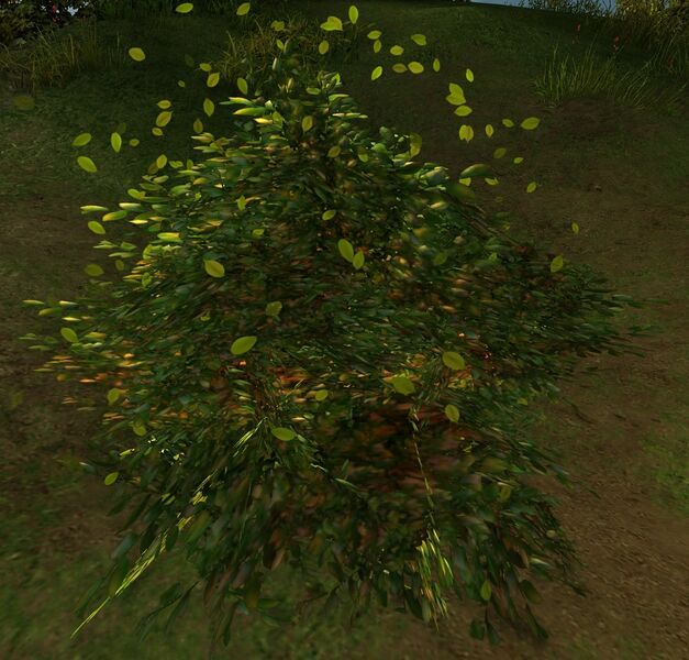 File:Suspicious Bush.jpg